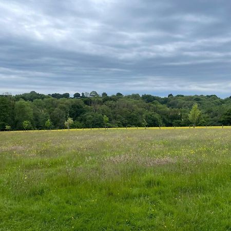 Meadow View Mayfield (East Sussex) Exterior foto